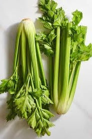 CELERY JUICE